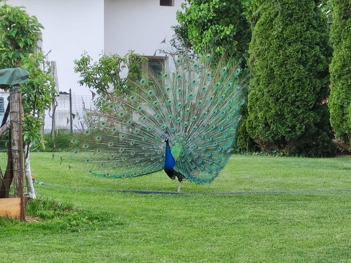 Monte Lago Polpenazze del Garda Exterior foto